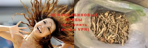 ПСИЛОЦИБИНОВЫЕ ГРИБЫ Балабаново