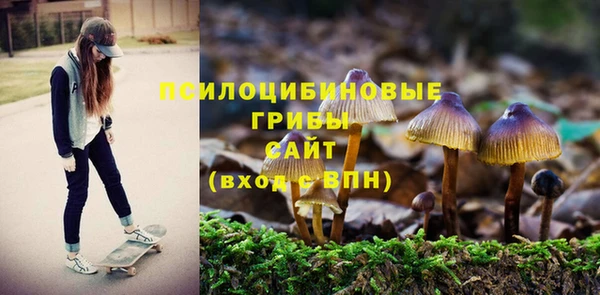 гидропоника Балахна