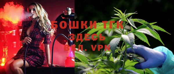 крисы Аркадак