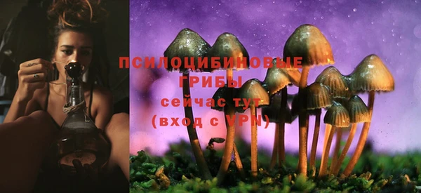 марки lsd Болотное