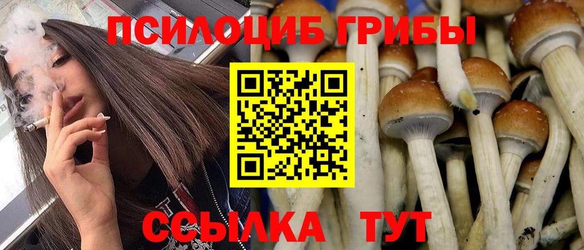 Галлюциногенные грибы мухоморы  Вход с VPN  Галлюциногенные грибы ЛСД  Кировск 